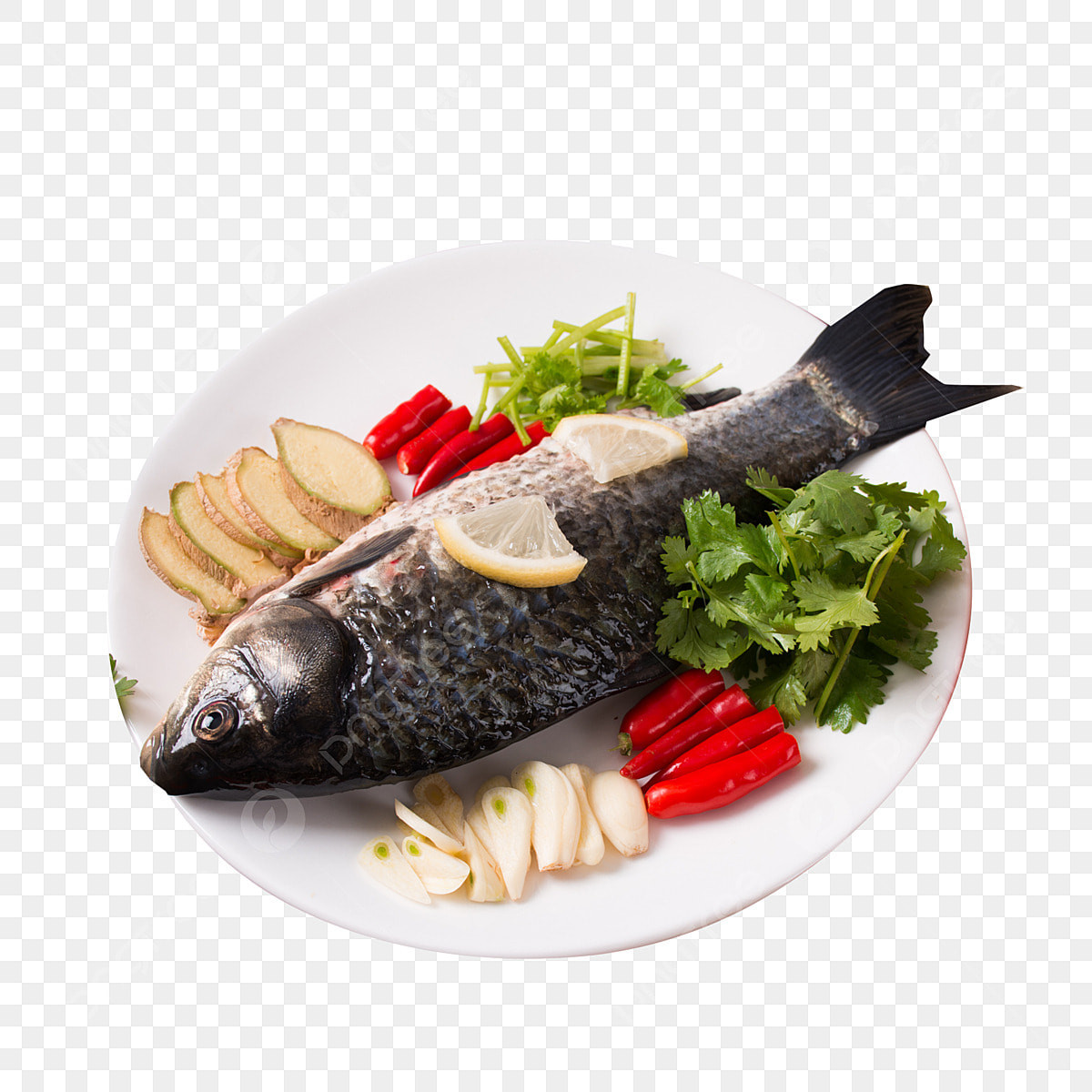 Fish